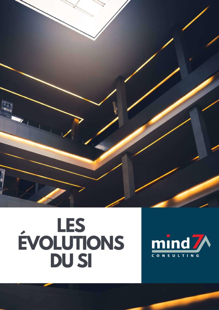 évolution des SI - livre blanc organisation performante