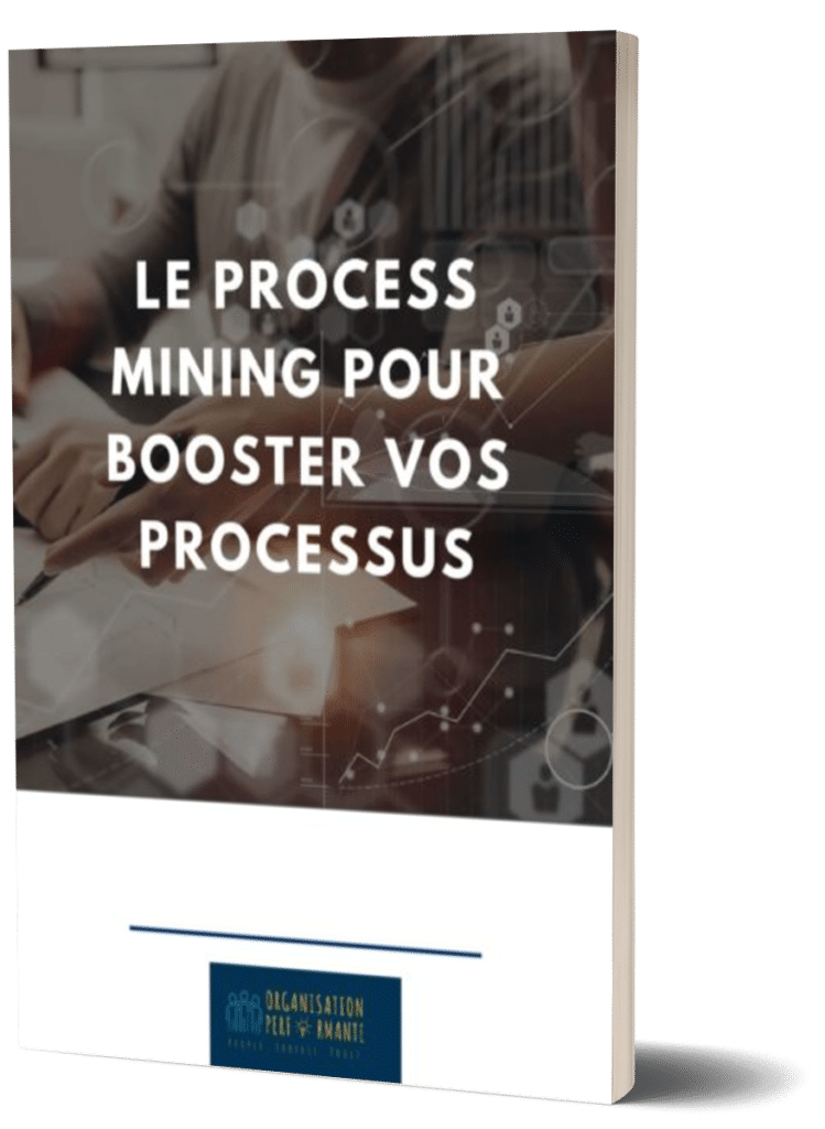 livre blanc process mining