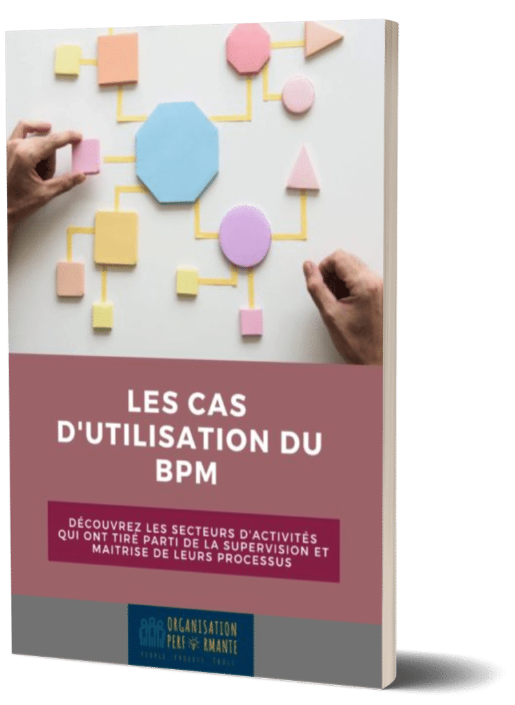 livre blanc les cas d'utilisation du BPM