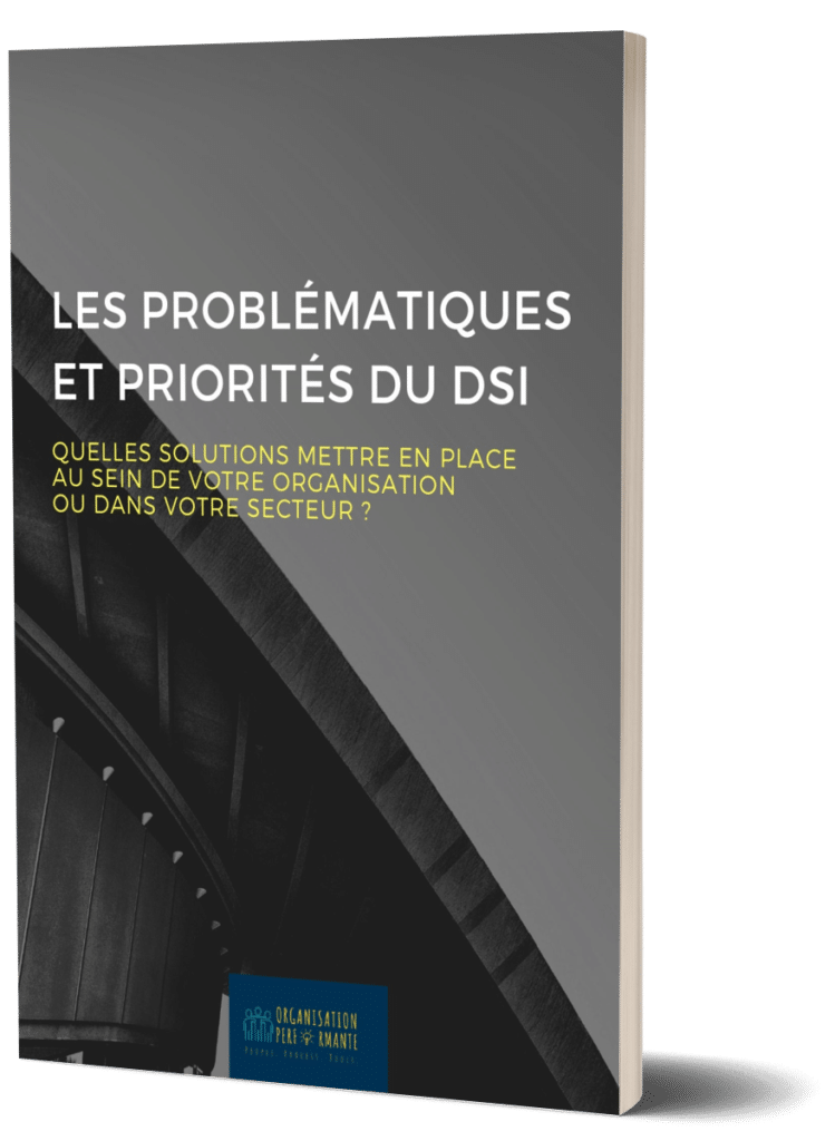 livre blanc problématiques DSI