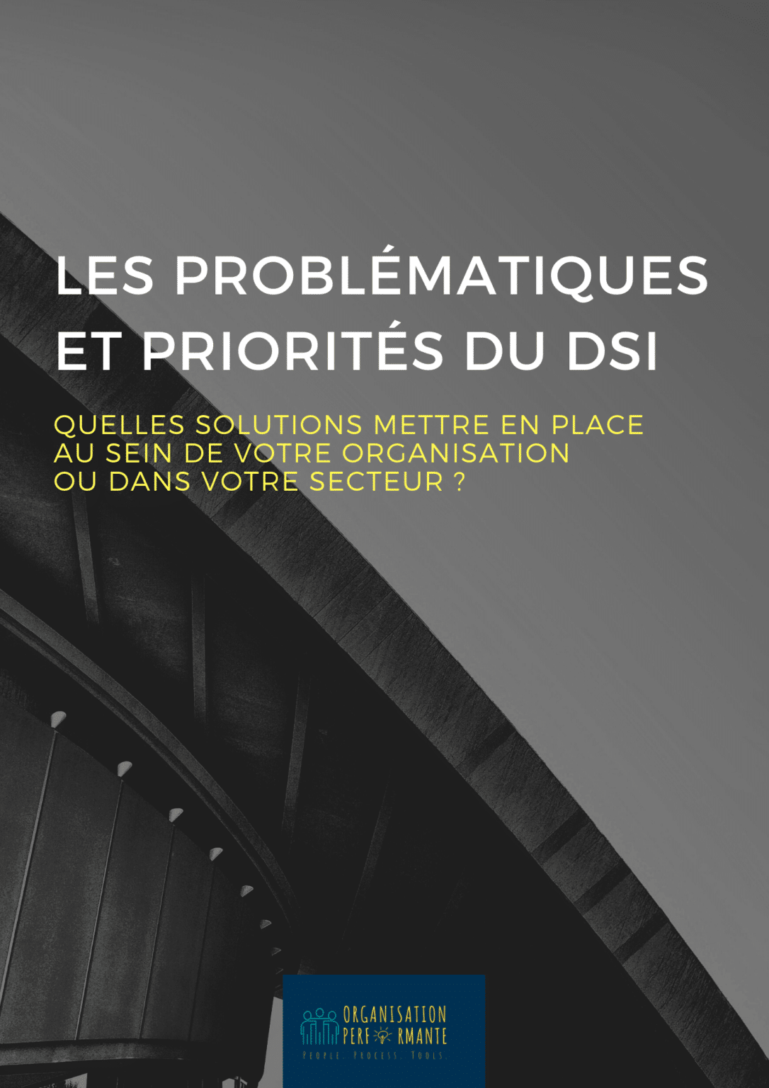 OP - Livre Blanc DSI