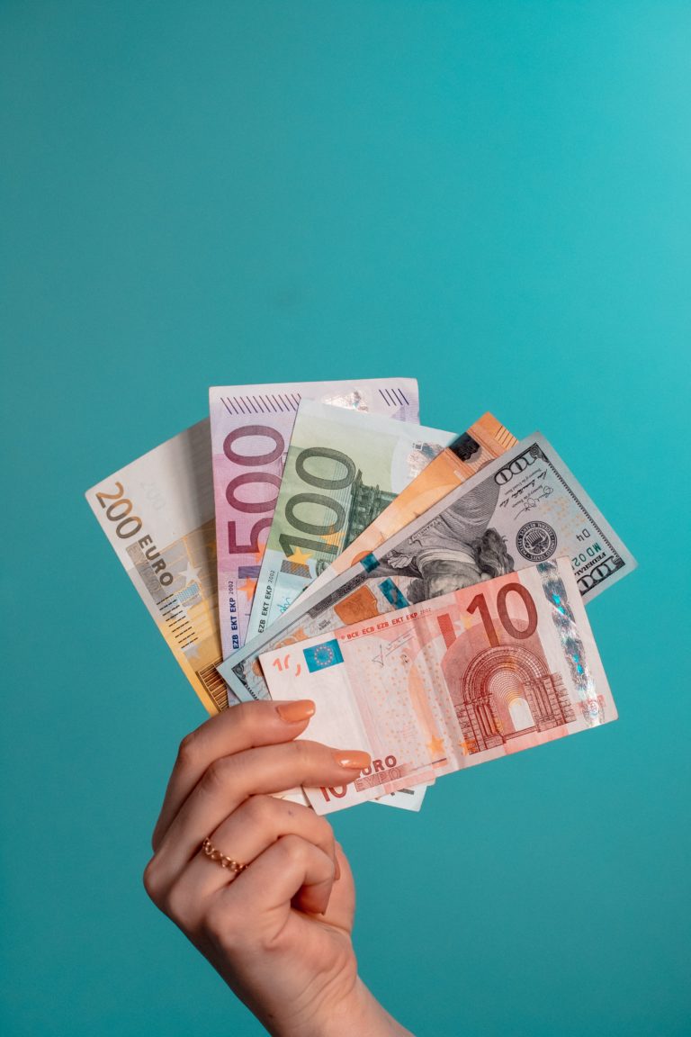 La réponse différenciée des banques de détail face à la crise