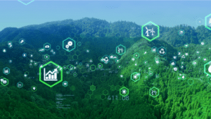 IT for green