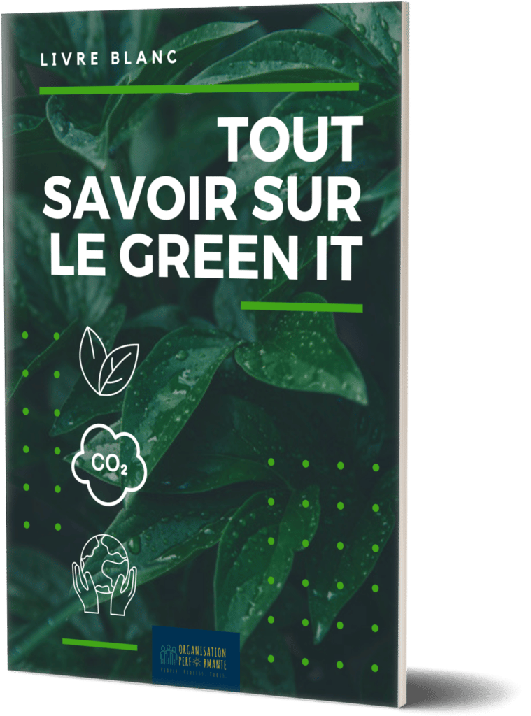 livre blanc green IT