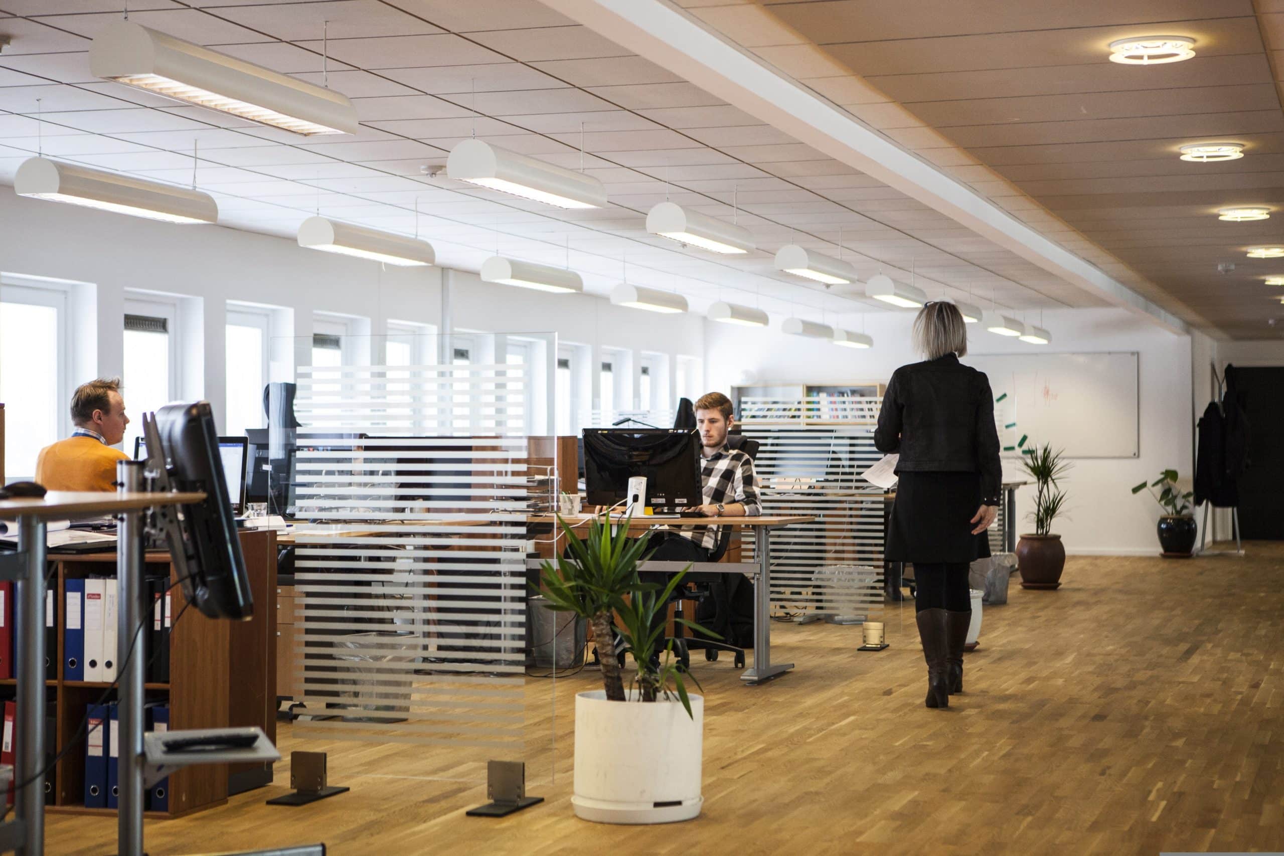 entreprise à impact