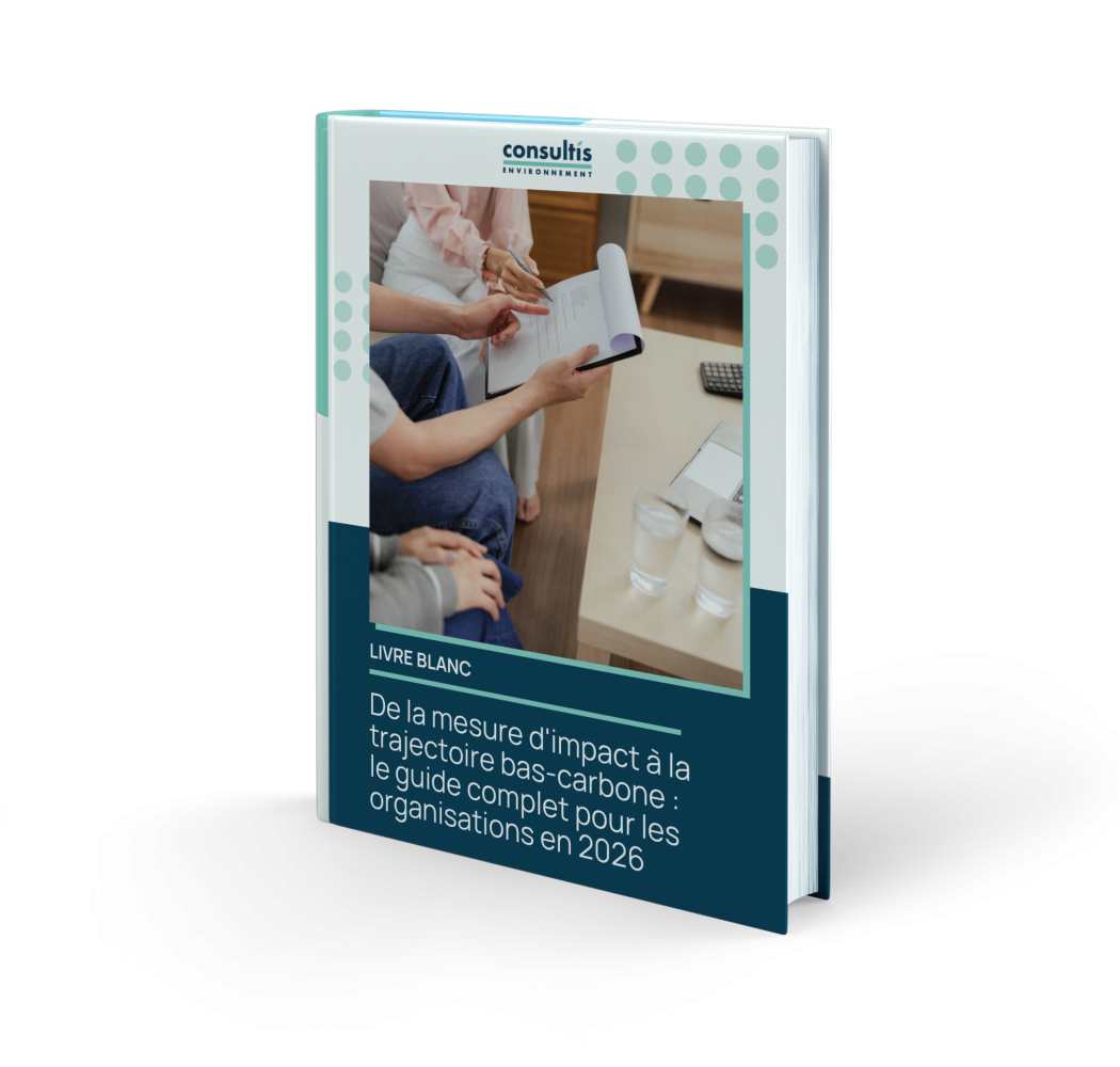 Mock up LB mesure d'impact